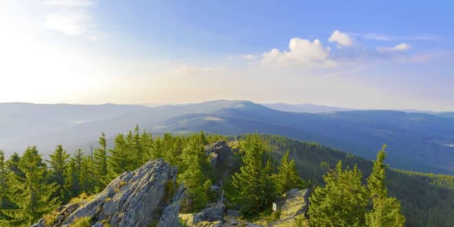 Bayerischer Wald natuurgebieden Duitsland shutterstock 784970896, natuurhuisjes in Sauerland