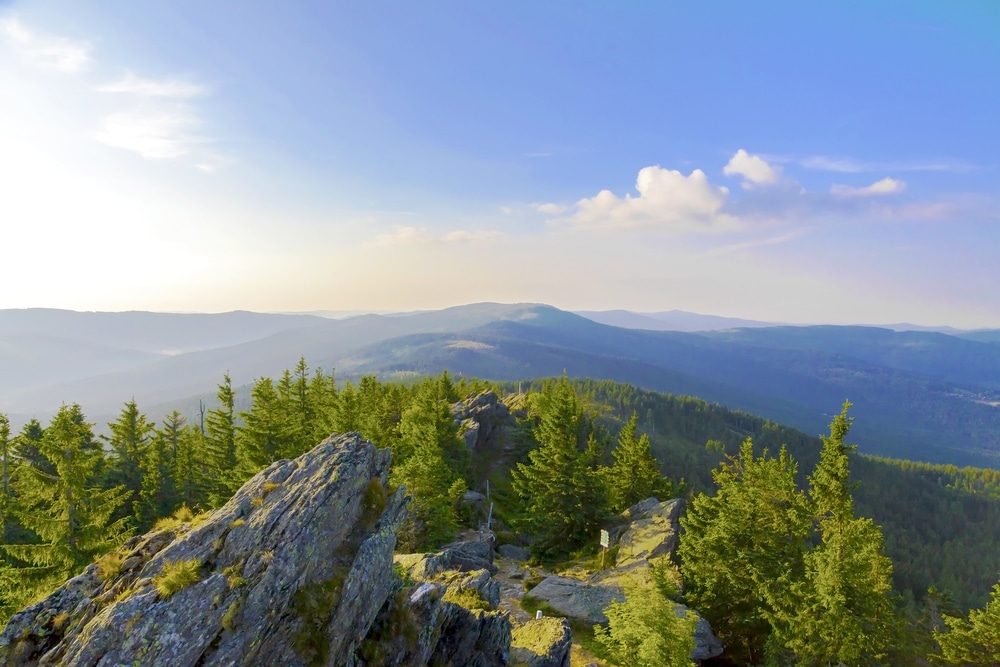 Bayerischer Wald Natuurgebieden Duitsland Shutterstock 784970896