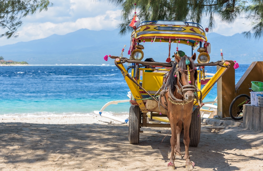 Gili Tranwagan Indonesie shutterstock 683628334, bezienswaardigheden Indonesië