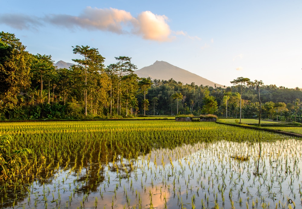 Lombok Indonesie shutterstock 409804576, Bezienswaardigheden Zuid-Holland