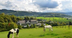 Sauerland Alpin Hotel 6, boutique hotels in boedapest