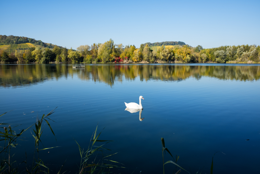 Haff Reimech, Natuurgebieden Luxemburg