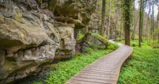 Mullerthal Trail Luxemburg shutterstock 637521388, wandelroutes Gelderland