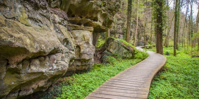 Wandelen in Luxemburg? Dit zijn de 10 mooiste wandelroutes