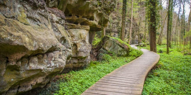 Mullerthal Trail Luxemburg shutterstock 637521388, wandelen Luxemburg mooiste wandelroutes