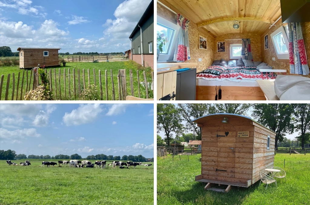 Natuurhuisje in Beltrum tiny house achterhoek, campings in Gelderland