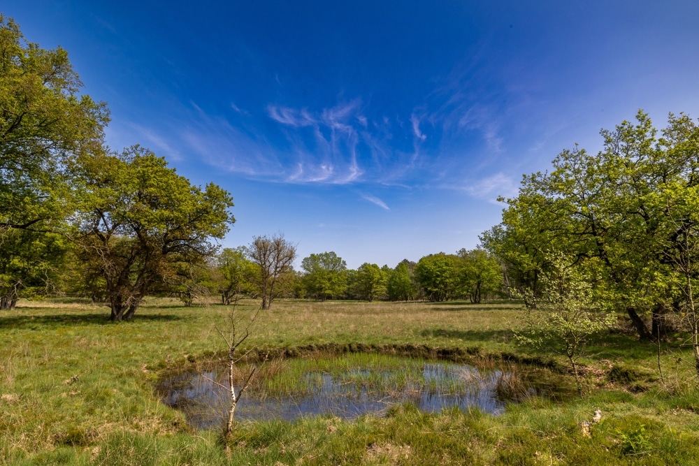 Nationaal Park De Meinweg in Limburg