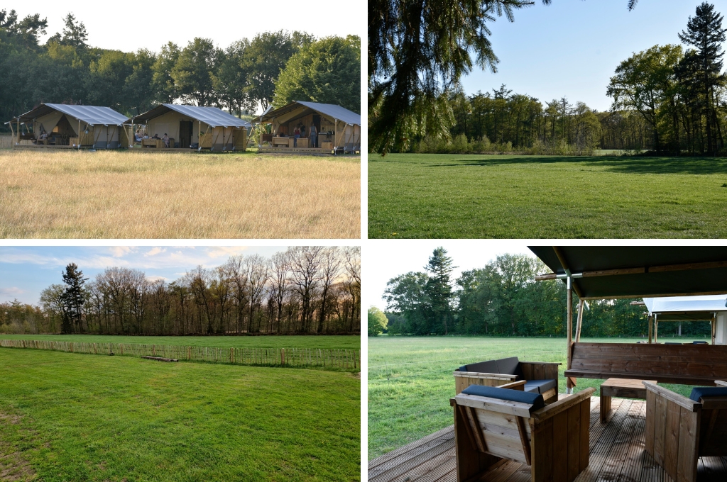 De 10 mooiste campings op de Utrechtse Heuvelrug