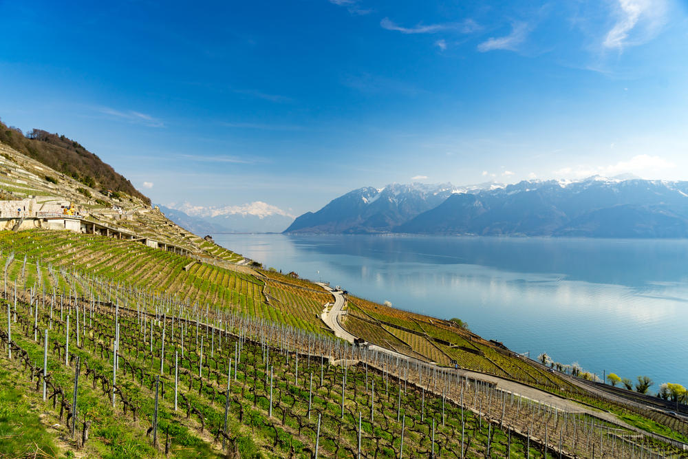 wijnbergterrassen van Lavaux Zwitserland shutterstock 618934883, glamping Zwitserland