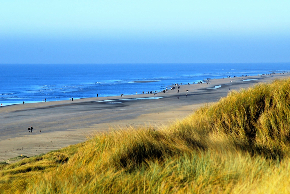 Strand in Egmond aan Zee