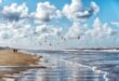 Strand van Zandvoort