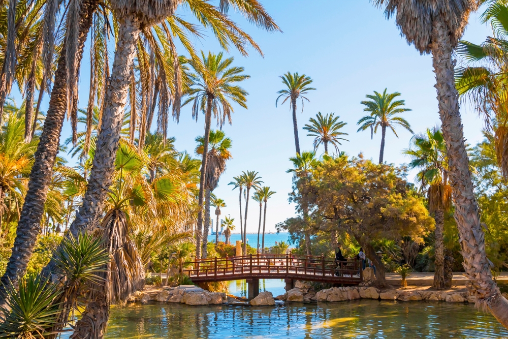 El Palmeral alicante Spanje shutterstock 2436341623, bezienswaardigheden in Napels