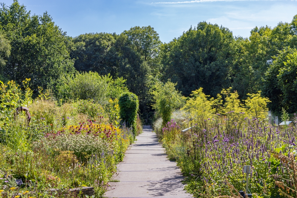 hortus alkmaar shutterstock 2211396361, stranden Spanje