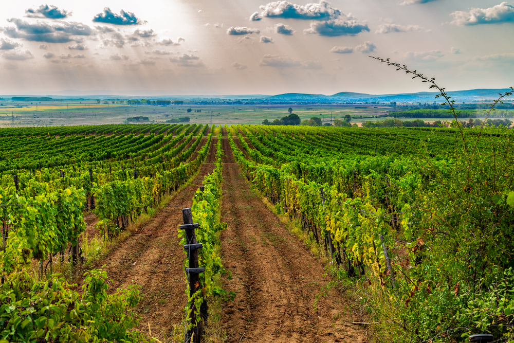 Tokaj wijnstreek, bezienswaardigheden in Hongarije