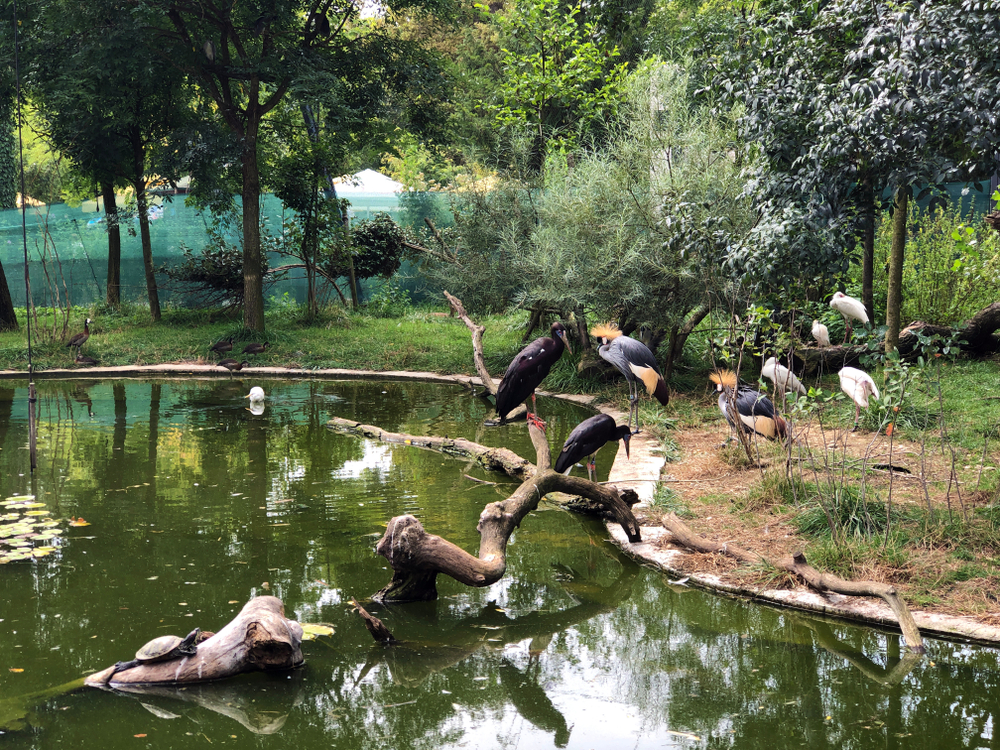 Zagreb Zoo